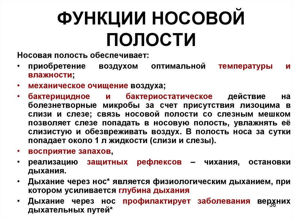 1 из функций носовой полости является