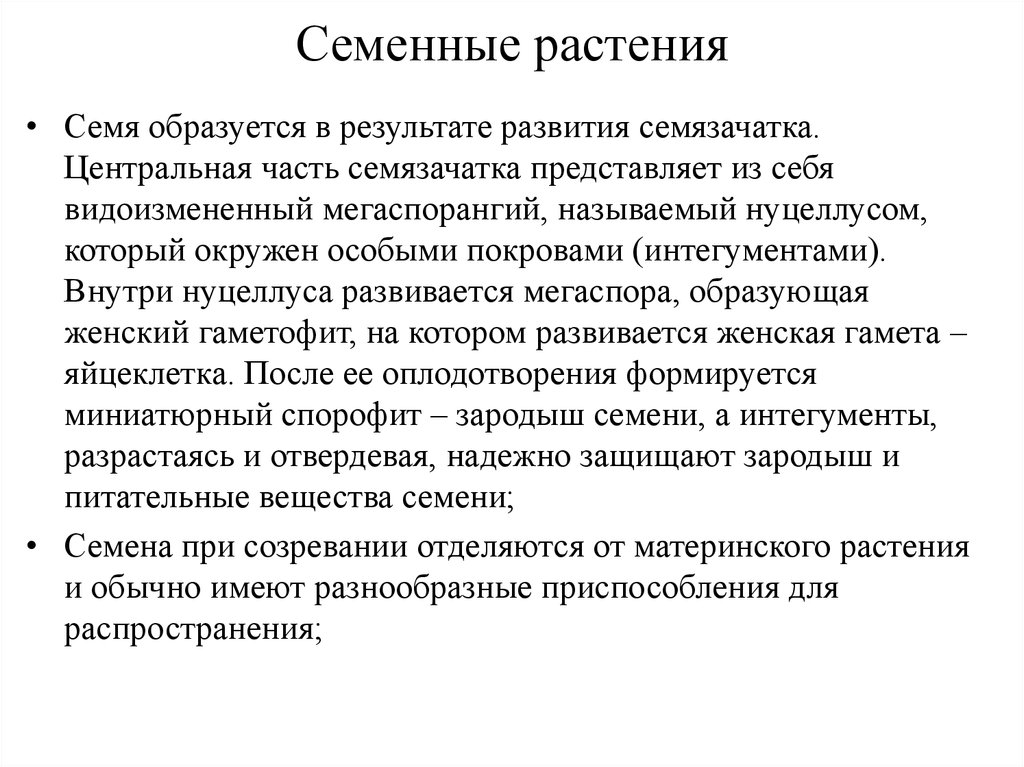 1 семенные растения на земле. Семенные растения. Характеристика семенных.