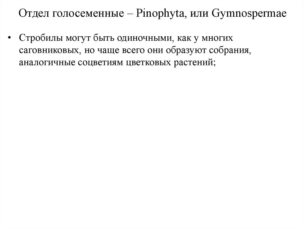 Отдел голосеменные – Pinophyta, или Gymnospermae