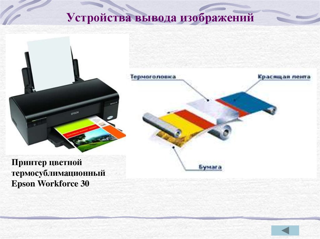 Вывод изображения на телефон. Устройства вывода изображения. Все устройства для вывода изображений. Устройство вывода рисунок. Устройства вывода изображения на компьютере.