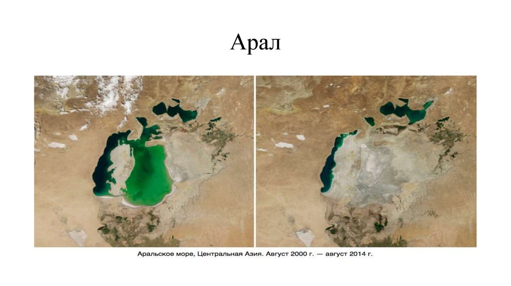 Арал