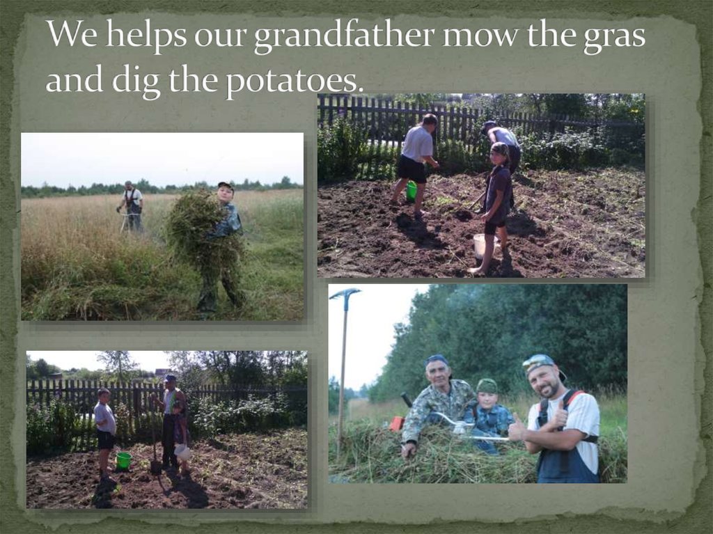 We helps our grandfather mow the gras and dig the potatoes.