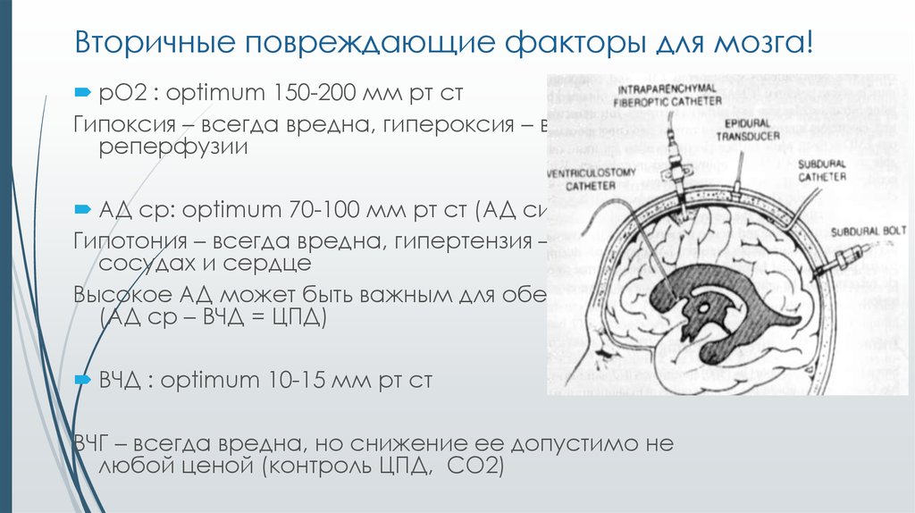 Температура мозга. Факторы вторичного повреждения мозга. Мозговая кома. Факторы повреждений 200. 3 Вредных фактора для мозга по словам нейроврачей.