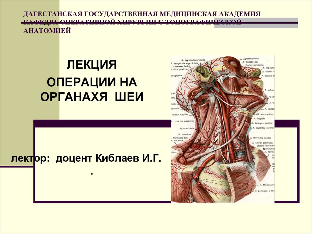 Топографическая анатомия головы презентация