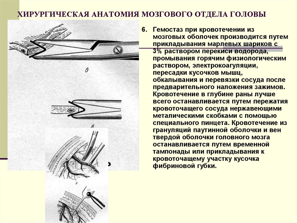 Презентация топографическая анатомия мозгового отдела головы