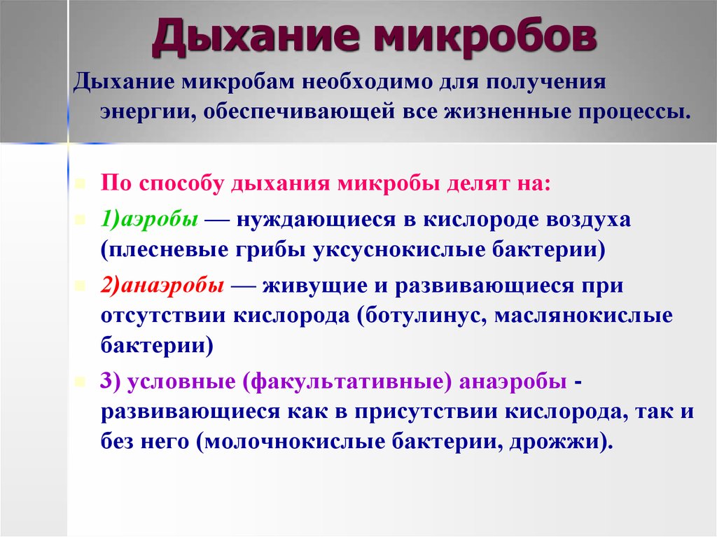 Назовите 4 условия. Дыхание микроорганизмов. Типы дыхания микроорганизмов. Дыхание микроорганизмов микробиология. Типы дыхания бактерий.