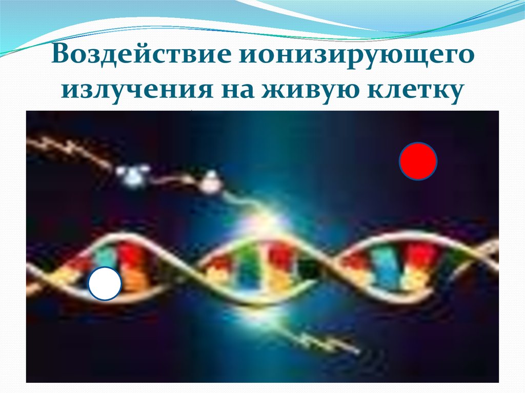 Влияние на живые организмы альфа излучения. Воздействие ионизирующего излучения на живую клетку. Воздействие излучений (ионизирующих и неионизирующих). Влияние ионизирующего излучения на клетки картинки. Влияние излучения на живые клетки.