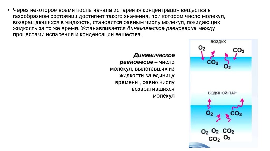 Какие химические связи разрушаются при транспирации воды. Динамическое равновесие насыщенный пар. Равновесие между жидкостью и паром. Насыщенные и ненасыщенные пары. Испарение воды молекулы.