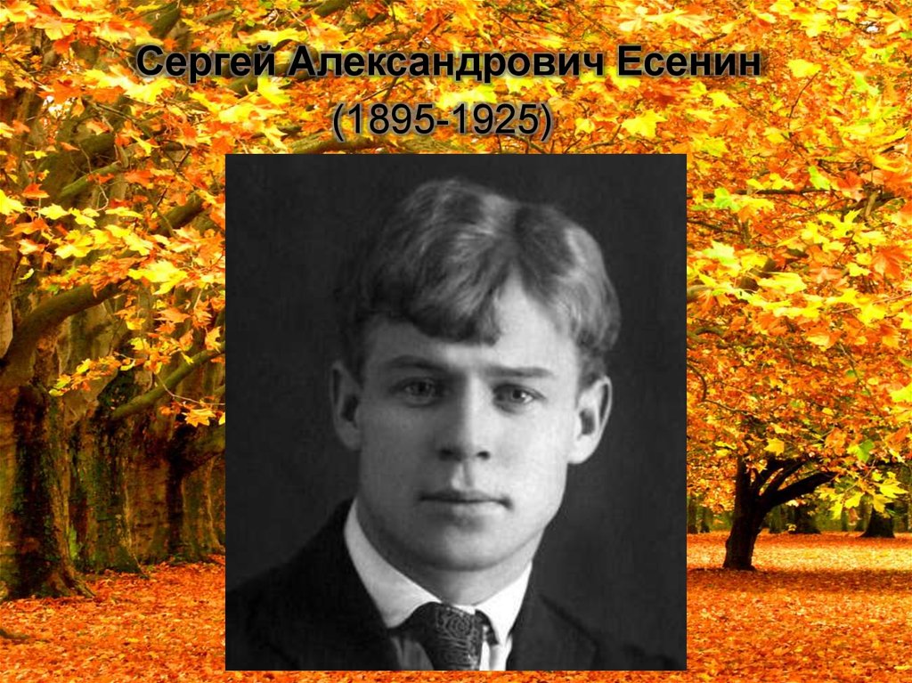 Есенин видео. Сергей Есенин Отговорила роща. Александр Сергей Есенин Отговорила роща Золотая. Александр Новиков Сергей Есенин. Есенин Сергей Александрович осенний фон.