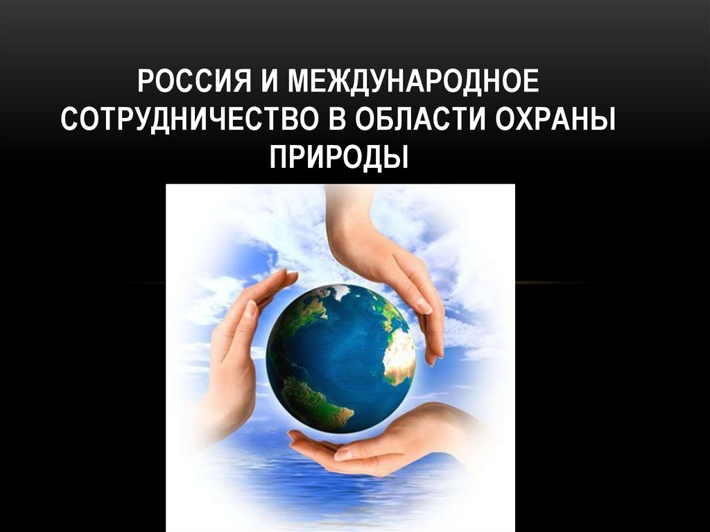 Международные организации по защите природы презентация