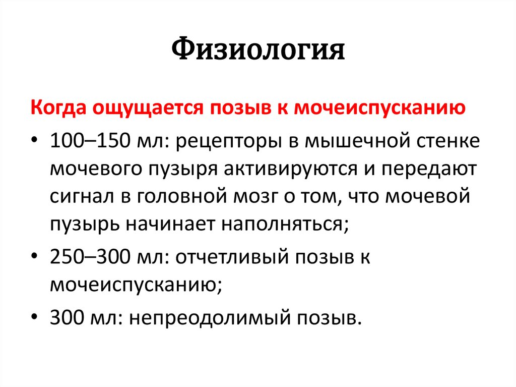 Физиология