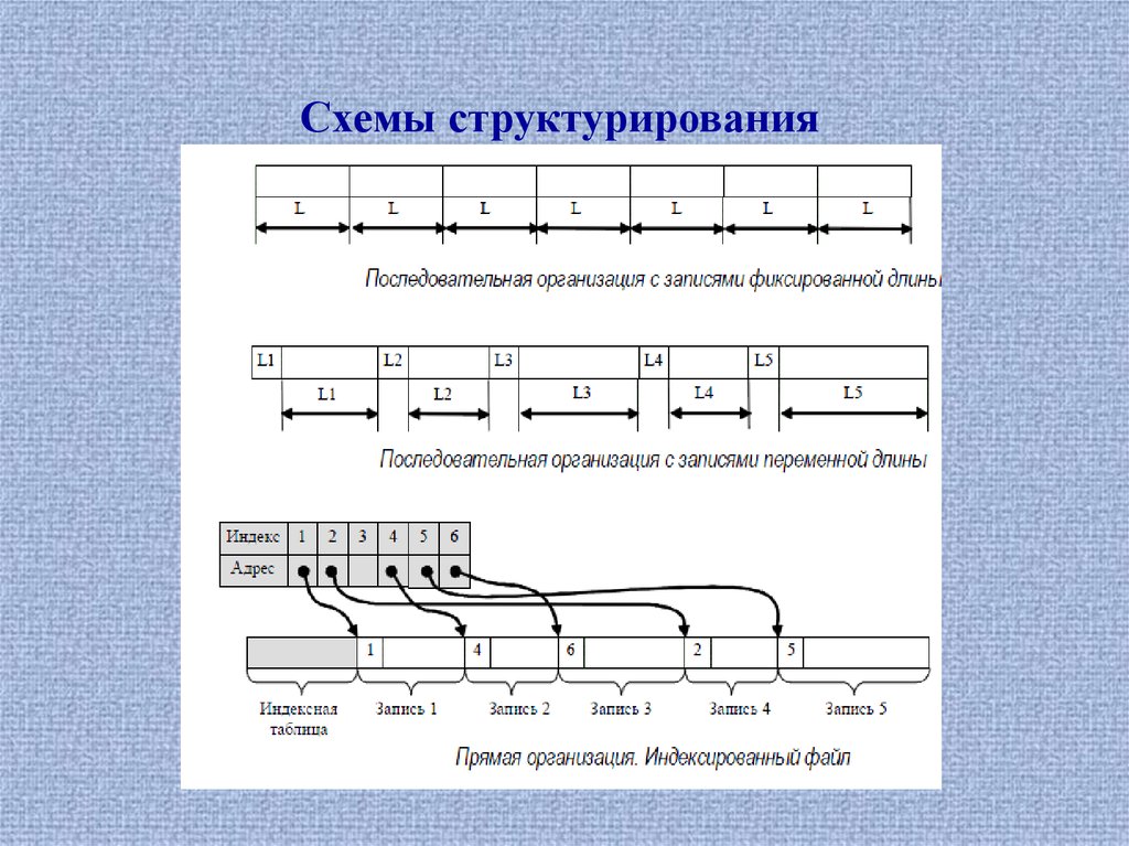 Организация записи. Фиксированной длины. Автоматическое структурирование таблицы. Пример данных с последовательной организацией.