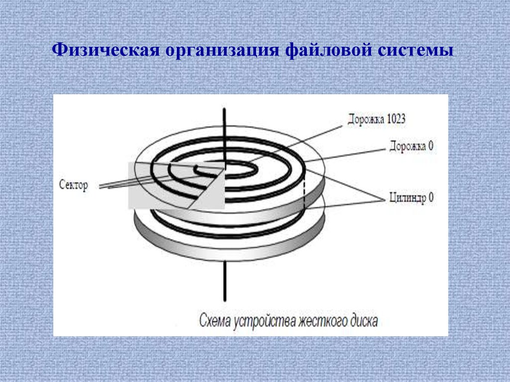 Физическое устройство. Физическая структура файловой системы. Физическая организация файловой системы кратко. Физическая организация жесткого диска. Физическая и логическая организация дисков файловая система.