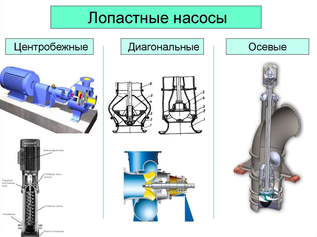 Отличие насосов. Схема лопастного осевого насоса. Центробежный осевой диагональный насос. Осевые насосы поворотно лопастной. Центробежный лопастной насос схема.