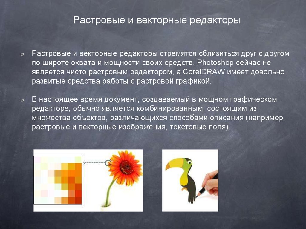 Какие примеры графических редакторов для растровых изображений вы можете привести