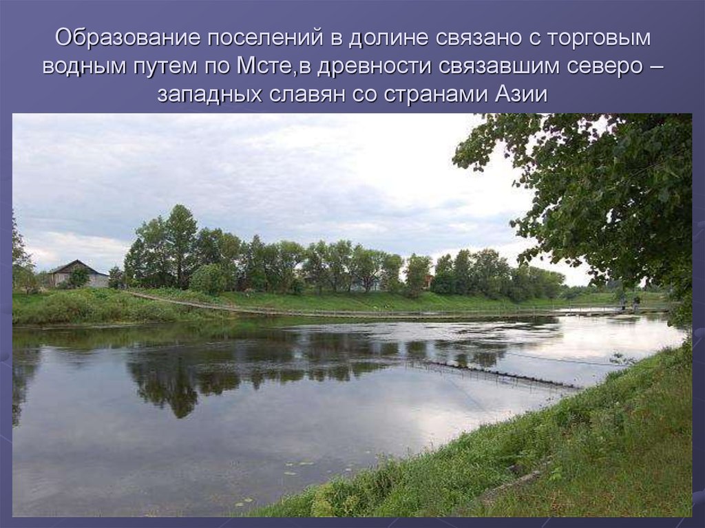 Образование поселений. Растения реки Мста. Водный путь по Мсте. Река Мста презентация. Растения и животные реки Мста.