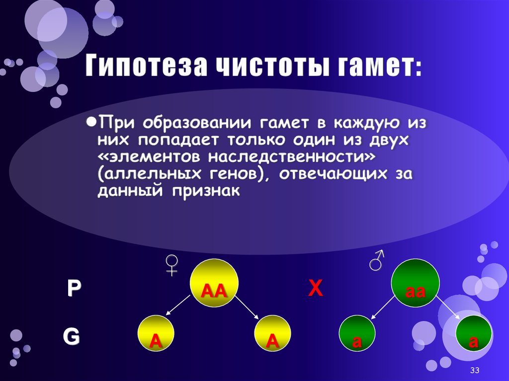 Закон частот. Гипотеза чистоты гамет формулировка. Гипотеза чистоты гамет Менделя. Гопотеза частоты гамет. Гипотеза частоты Камет.