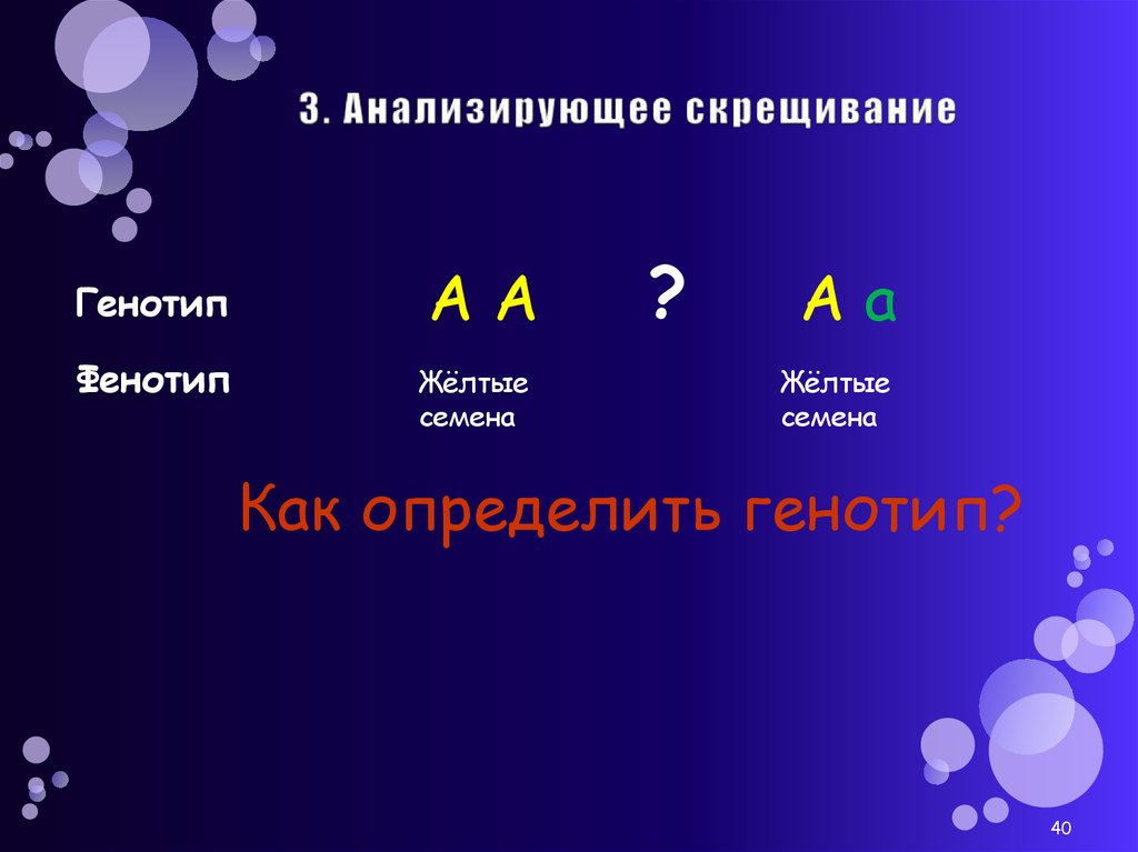 Генотип желтых семян. Как определить генотип и фенотип. Фенотип и генотип скрещивание. Анализирующее скрещивание фенотип. Как определить генотип и генотип.