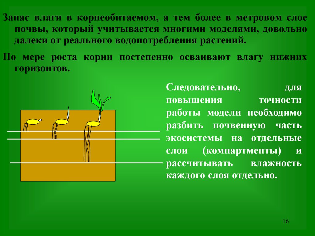 Водный режим почвы презентация