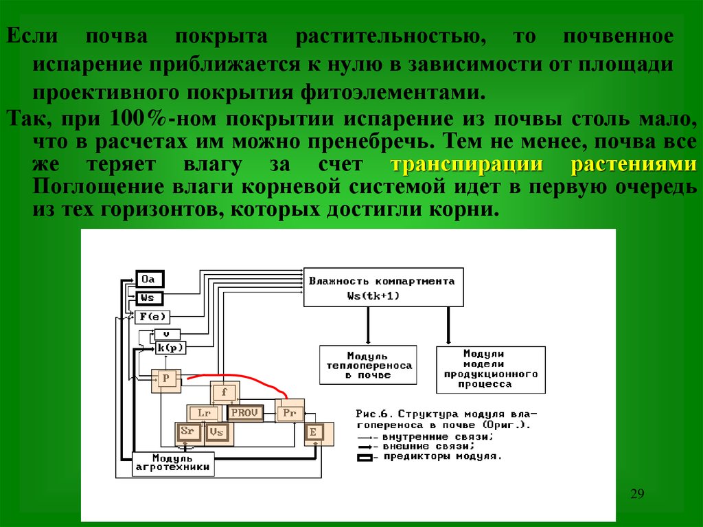 Водный режим почвы презентация