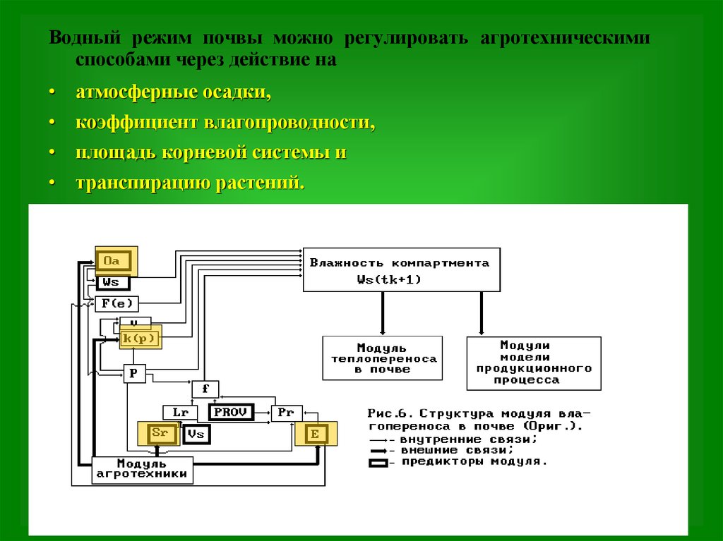 Регулирование режимов почв. Регулирование водного режима почв. Водный режим и его регулирование. Способы регулирования водного режима почв. Водный режим почвы и его регулирование.