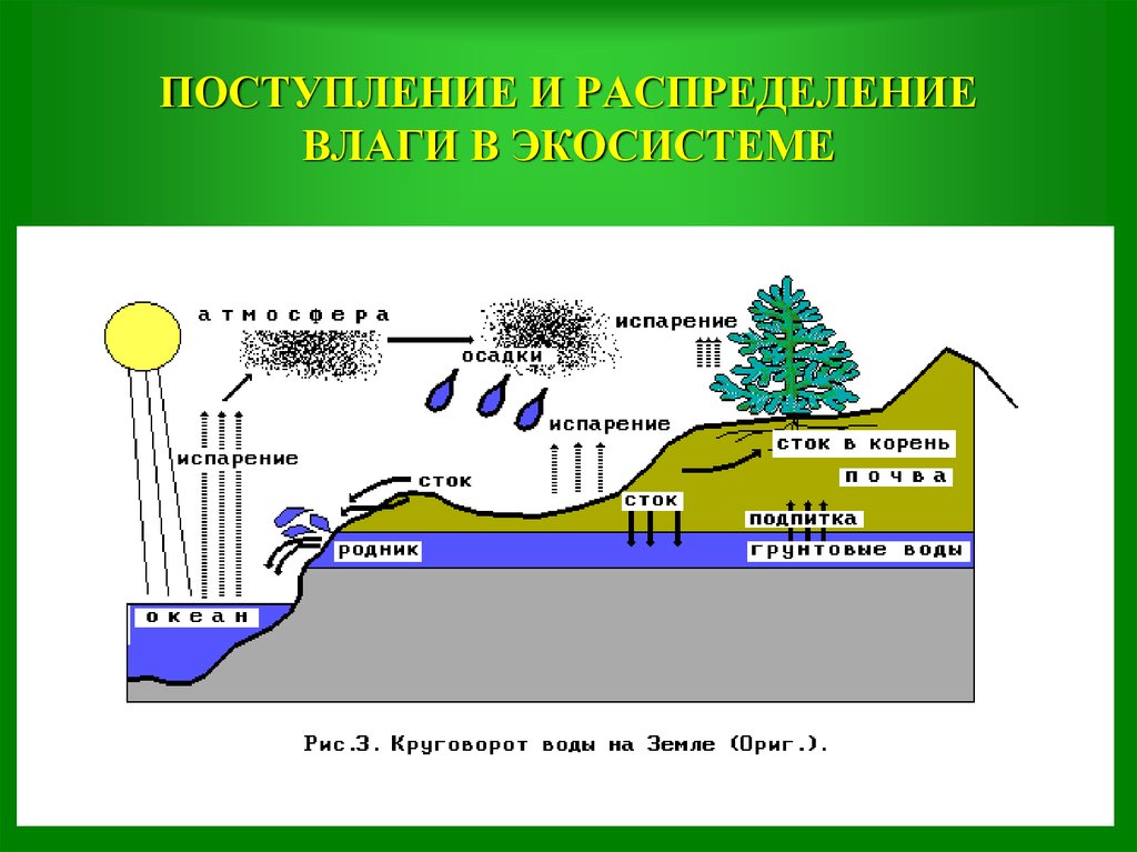 Какими буквами на схеме круговорота воды отмечены испарение перенос влаги осадки реки подземные воды