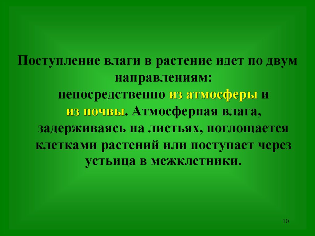 Идите растения. Количество влаги в траве. Поступление влаги от людей. Поступает или поступаед.