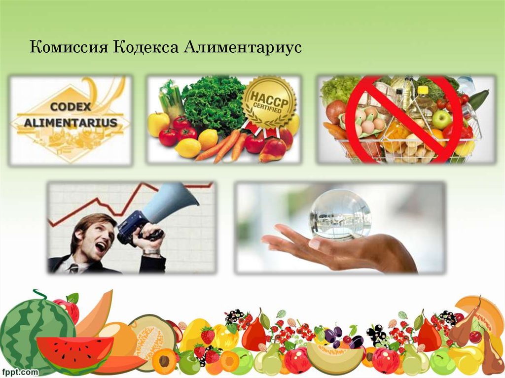 Комиссия Кодекса Алиментариус