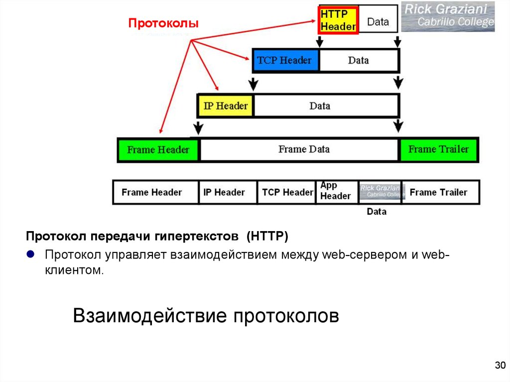 Протоколы технологий. Протокол взаимодействия. Взаимосвязь протоколов. Протокол клиент серверного взаимодей. Протокол передачи гипертекста.