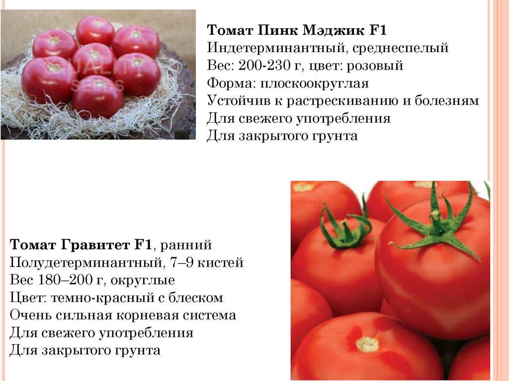Пинк парадайз томат описание урожайность. Томат Пинк Мэджик f1. Томат Пинк Мэджик f1 характеристика и описание. Томат Пинк Мэджик характеристика. Томат Пинк Спарк f1.