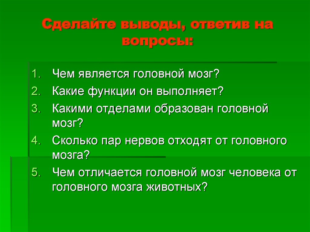 Какими отделами образована