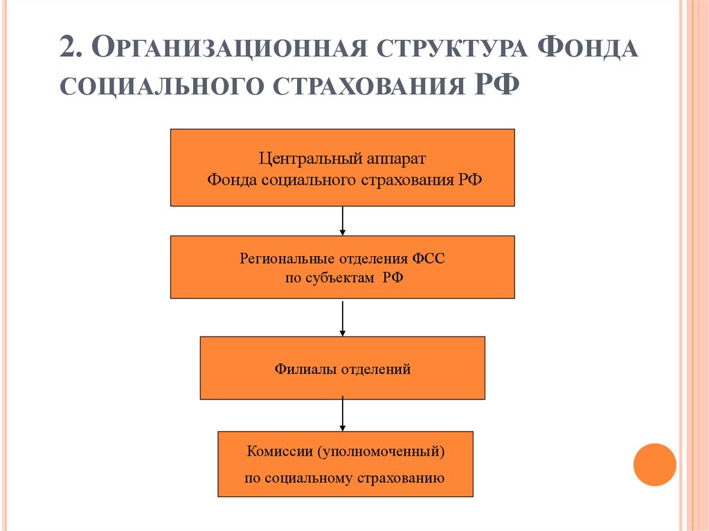 Организация работы социального фонда россии
