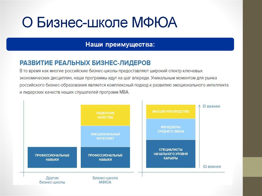 O Бизнес-школе МФЮА