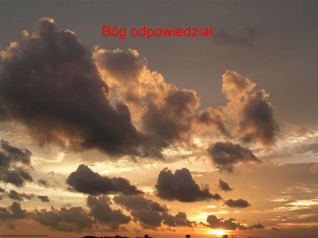 Bóg odpowiedział: