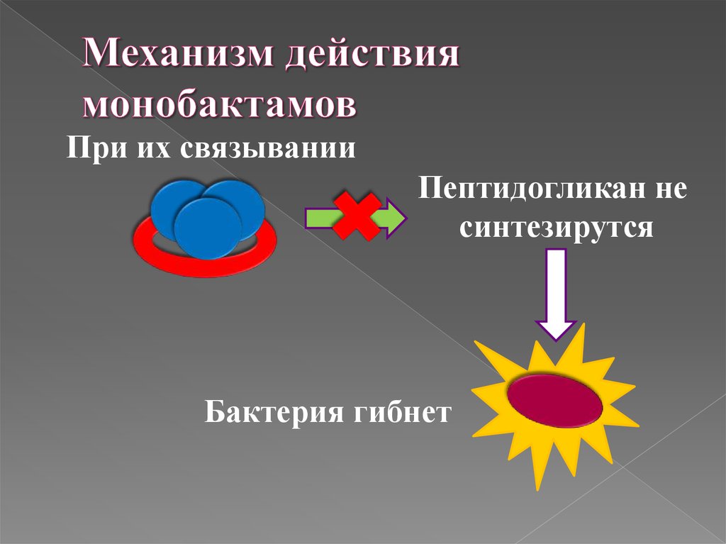 Действие презентация. Монобактамы механизм действия. Монобоктаты механизм действия. Монобактамы механизм действия фармакология. Монобактамы антибиотики механизм действия.