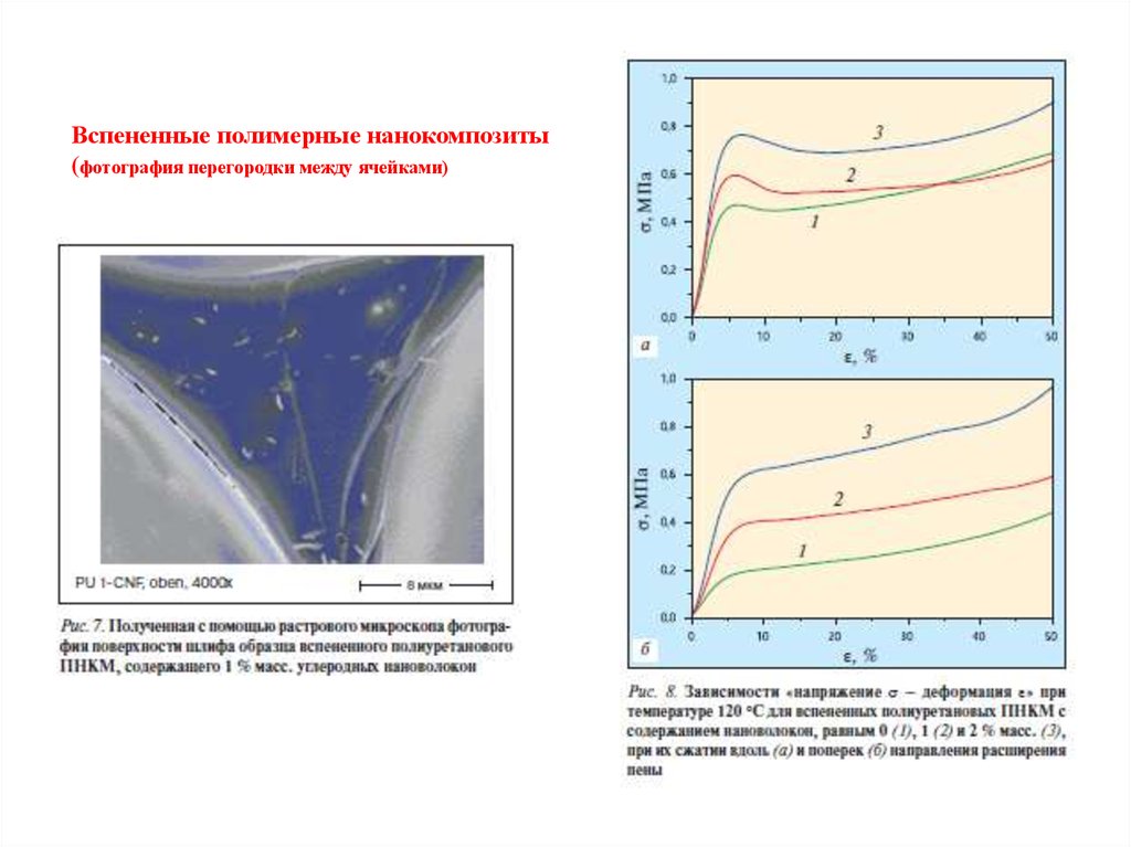 Полимерные нанокомпозиты презентация
