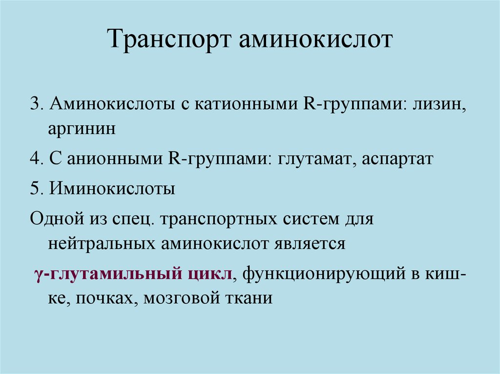 Пул аминокислот. Транспорт аминокислот в клетку. Мембранный транспорт аминокислот. Мембранный транспорт аминокислот биохимия. Транспорт аминокислот через мембрану.