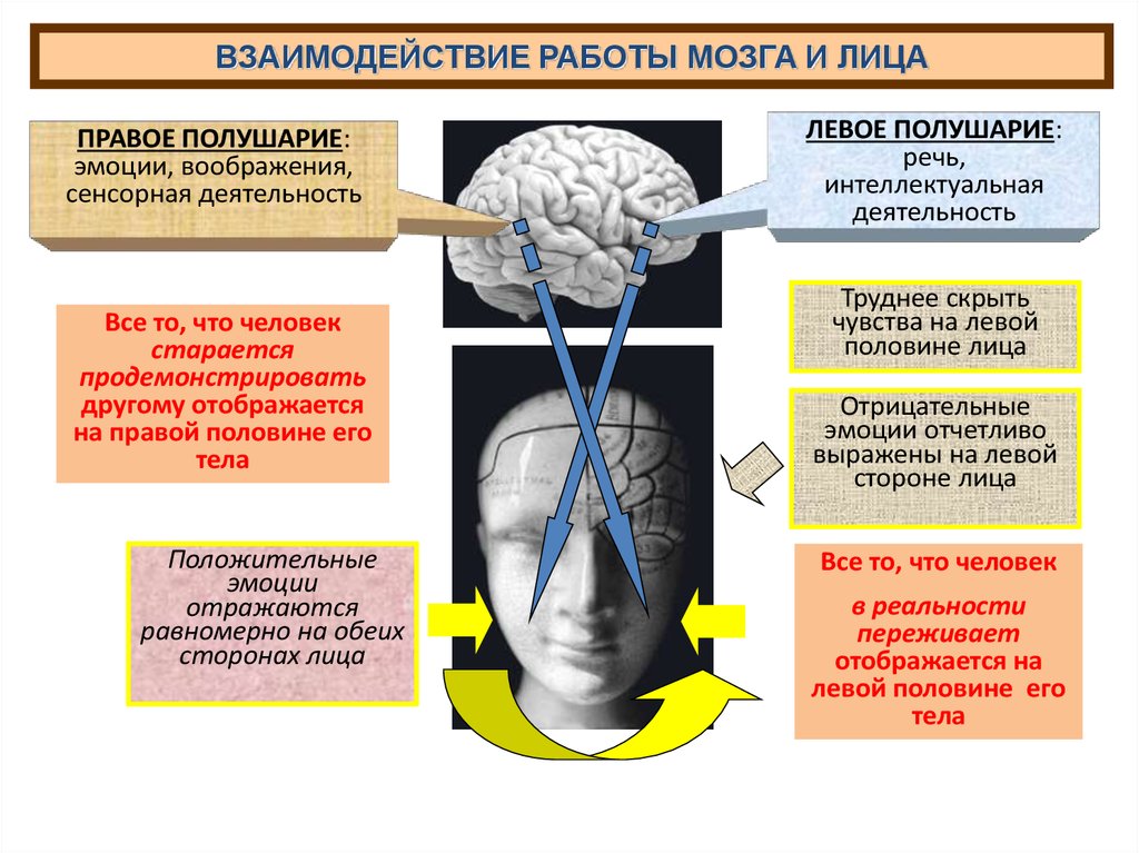 Левый ощущение