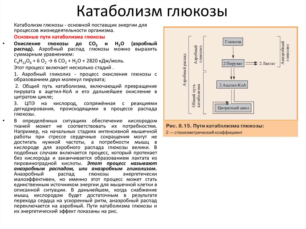 Реакция организма на глюкозу