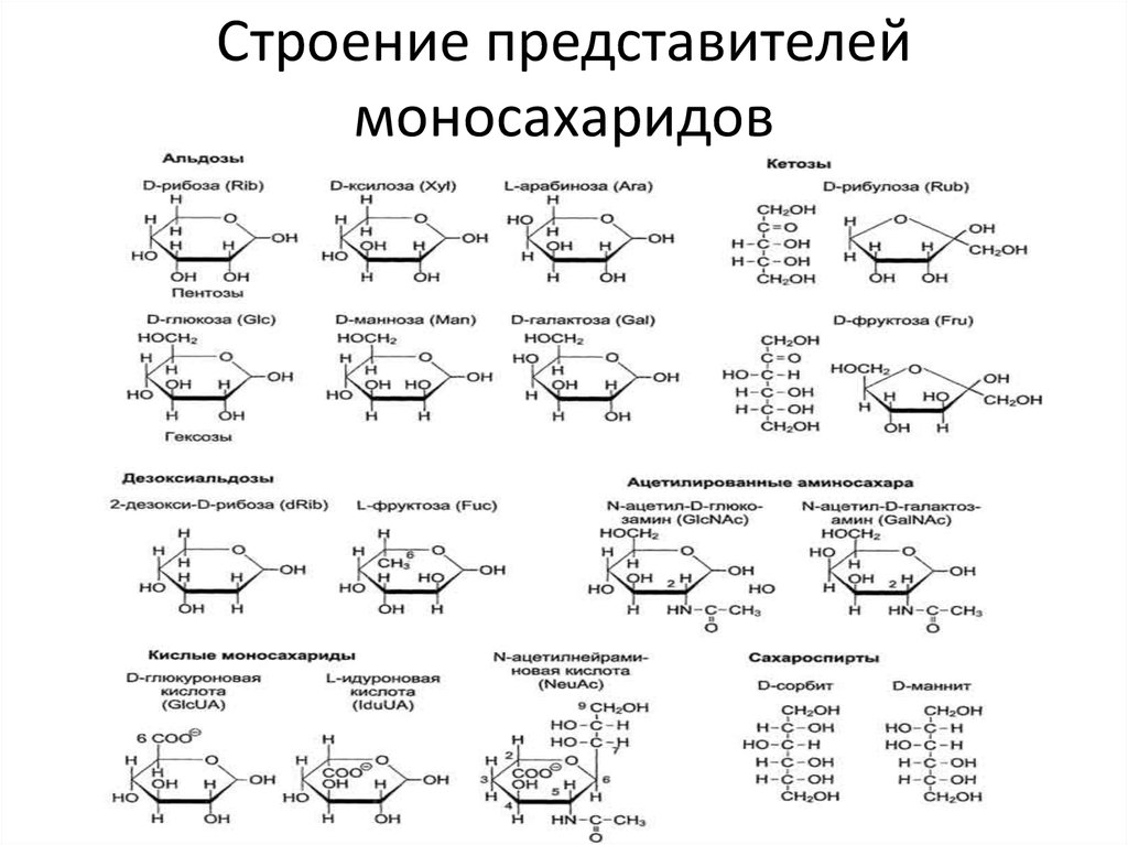 Классификация фруктозы