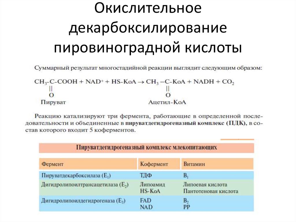 При окислении пвк образуется атф. Окислительное декарбоксилирование реакции. Реакция окислительного декарбоксилирования пировиноградной кислоты. Окислительное декарбоксилирование ПВК реакции. Суммарная реакция окислительного декарбоксилирования пирувата.