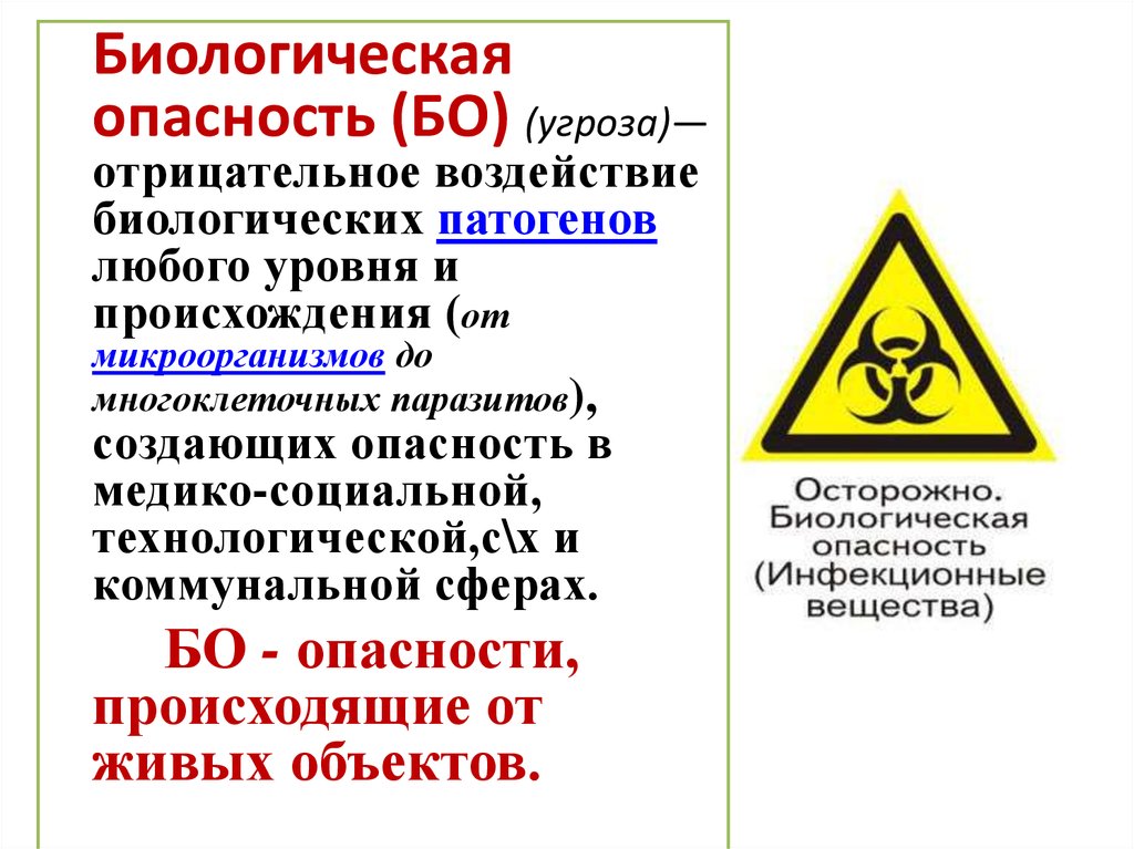 Презентация биологические опасности