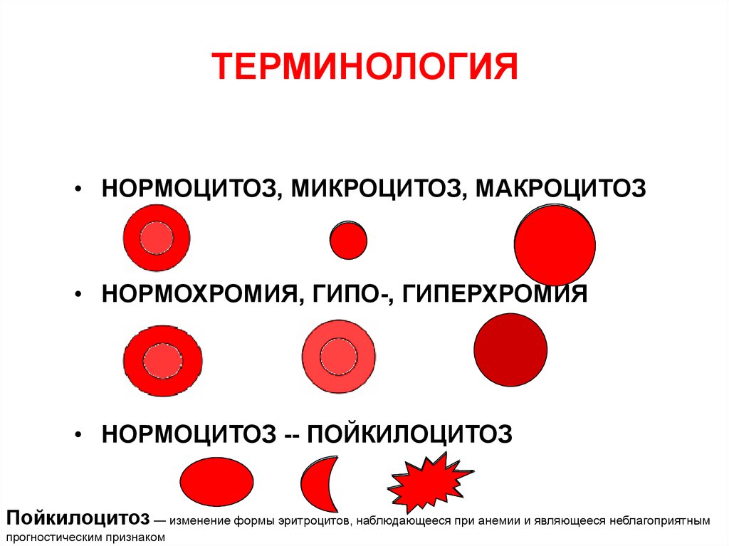 Пойкилоцитоз что это такое