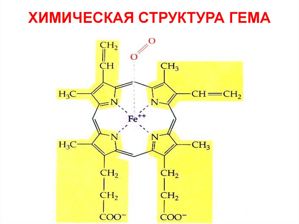 Гем биохимия. Изобразите структурную химическую формулу гема. Химическая структура гема. Строение гема химия. Гем строение биохимия.