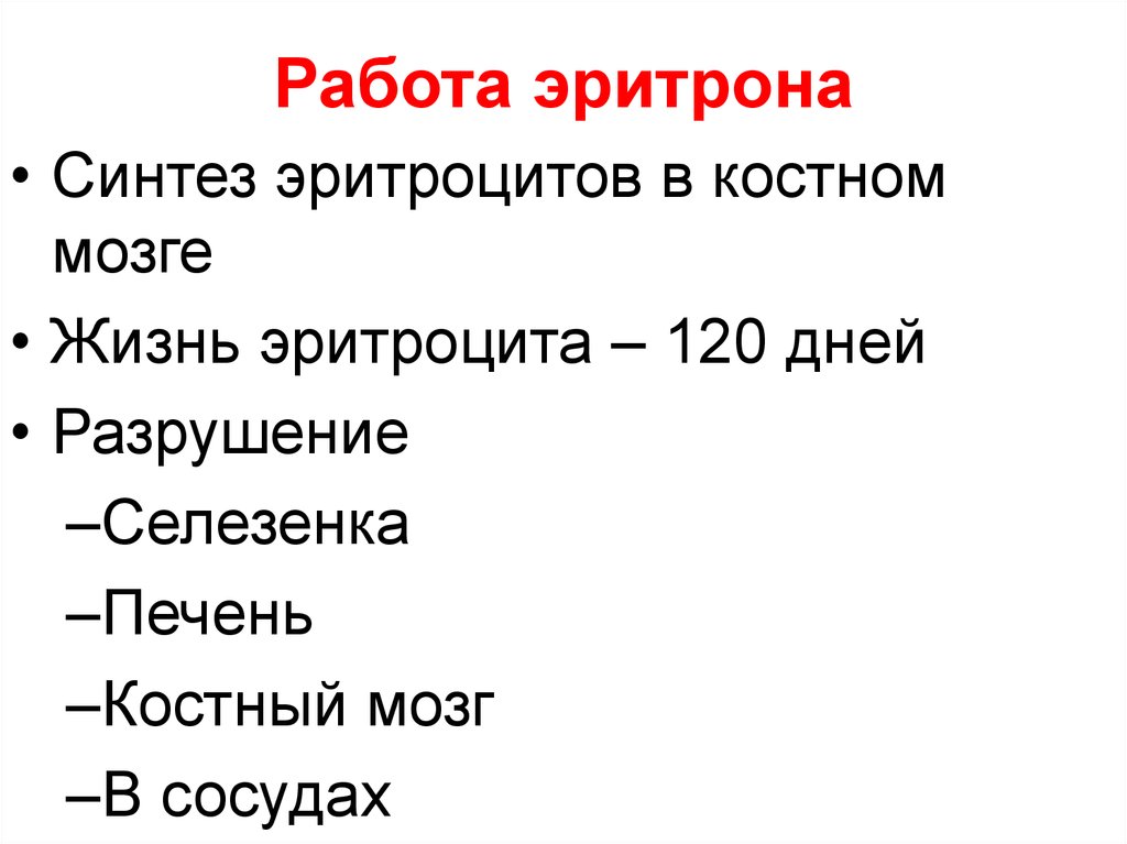 Эритрон. Синтез эритроцитов. Физиология эритроцитов презентация. Эритрон строение. Понятие об эритроне.