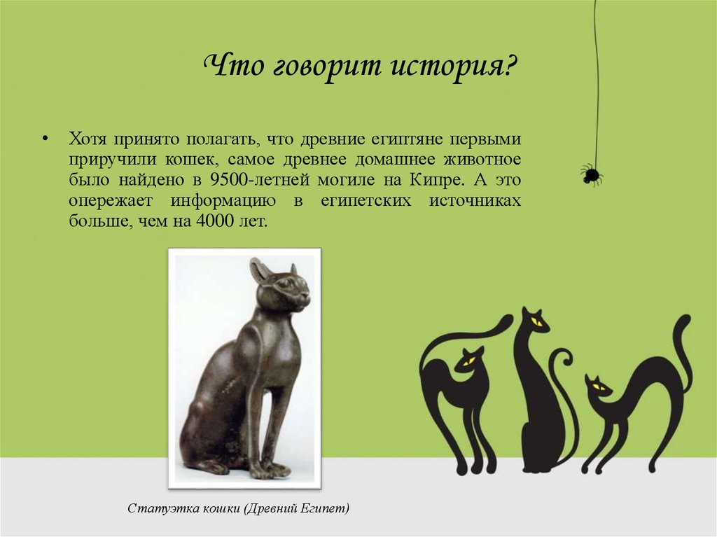 Кошка была приручена в древнем. Кошки в древнем Египте. Интересные сведения о приручении кошек. Интересные факты о древних кошках. Интересные факты о кошках презентация.