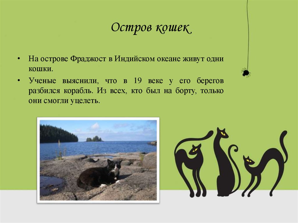 На далеком острове живут. Остров Фраджост в индийском океане. Остров кошек в индийском океане. Фраджост остров кошек. Остров в Индии где живут кошки.