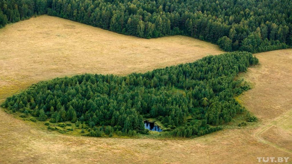 Земля беларуси. Вертолет в лесу. Самый большой лес в Беларуси. Леса Минской области. Леса Беларуси вид сверху.