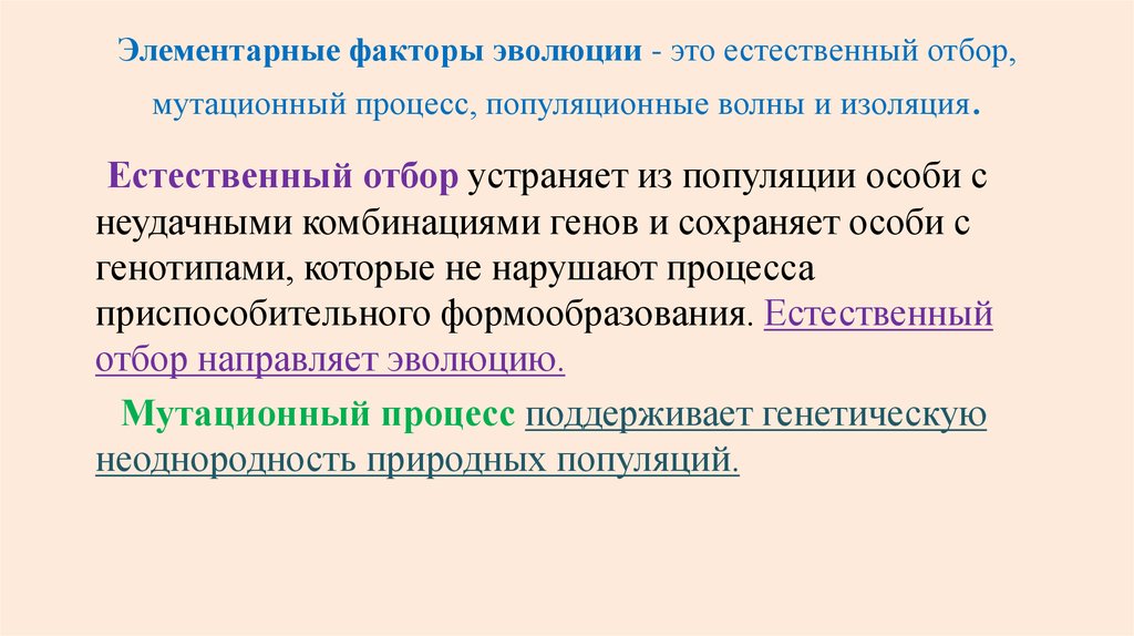 Элементарные факторы эволюции. Элементарные эволюционные факторы. Представления об элементарных эволюционных факторов. Элементарные мутационные факторы.