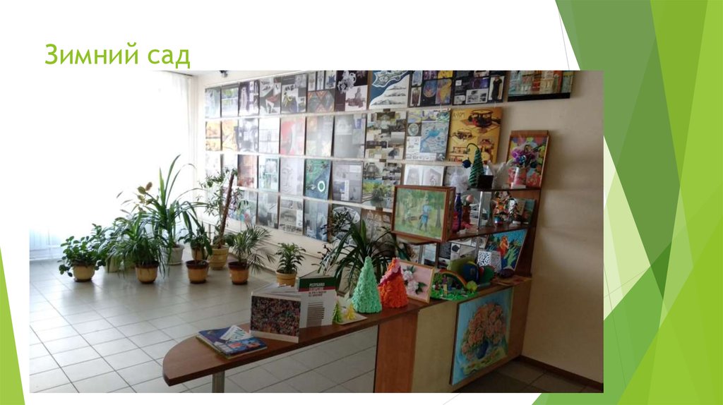 Зимний сад